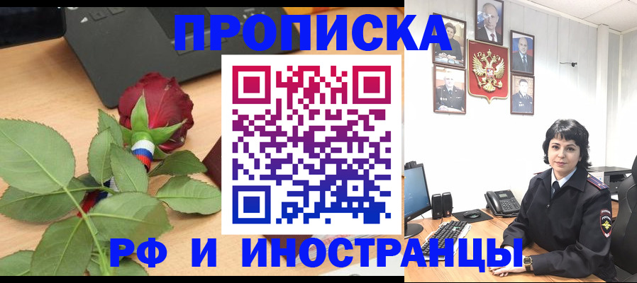 временная регистрация собственник в Тереке